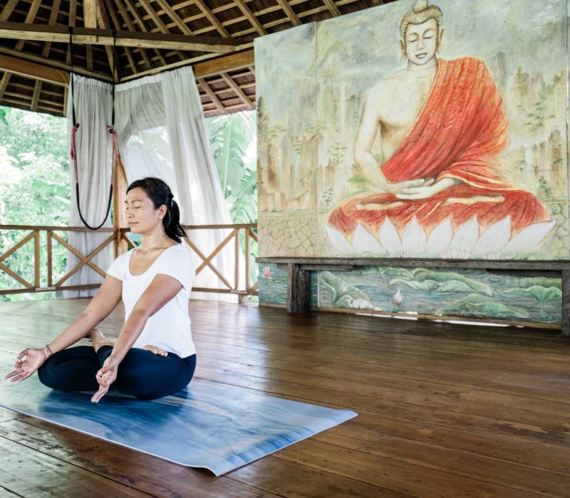 the-serinity-yoga-2
